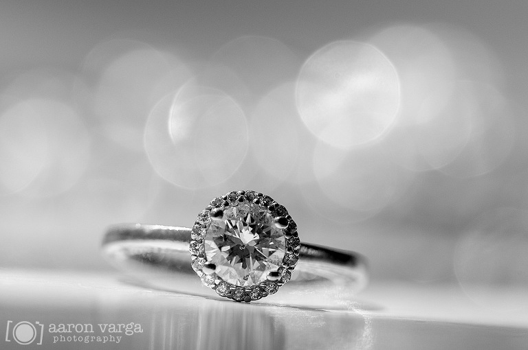 04 huge engagement ring(pp w768 h510) - Micaela + Mike | Succop Conservancy Wedding Photos