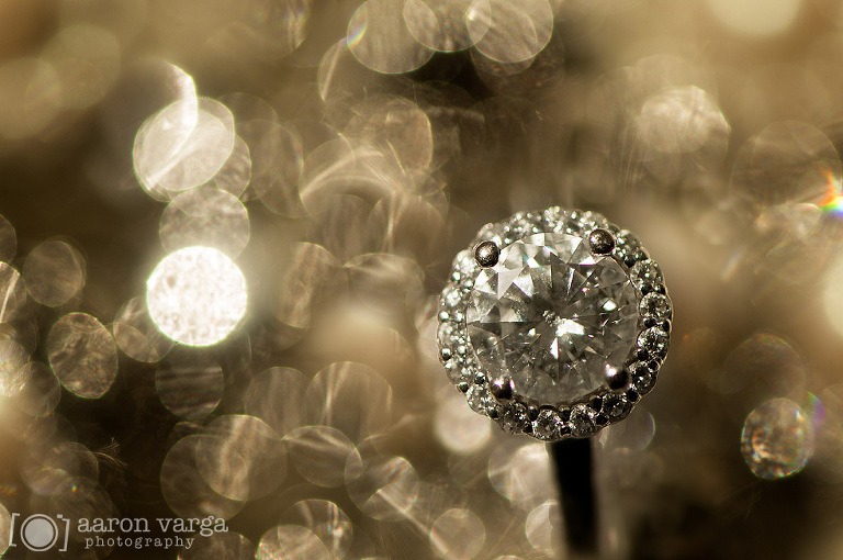 05 giant engagement ring(pp w768 h510) - Micaela + Mike | Succop Conservancy Wedding Photos