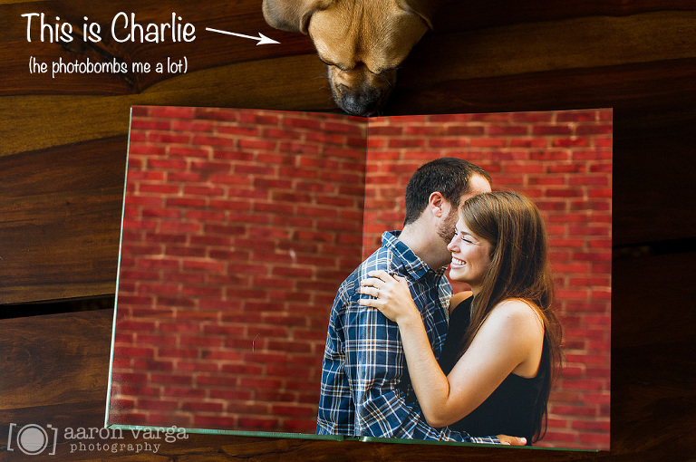 01 engagement guestbook(pp w768 h510) - Engagement Photo Guestbook